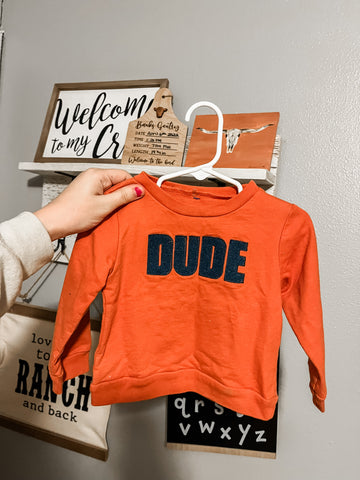 dude sweater size 18 month