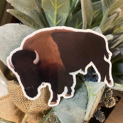 Buffalo sticker by Rafter B
